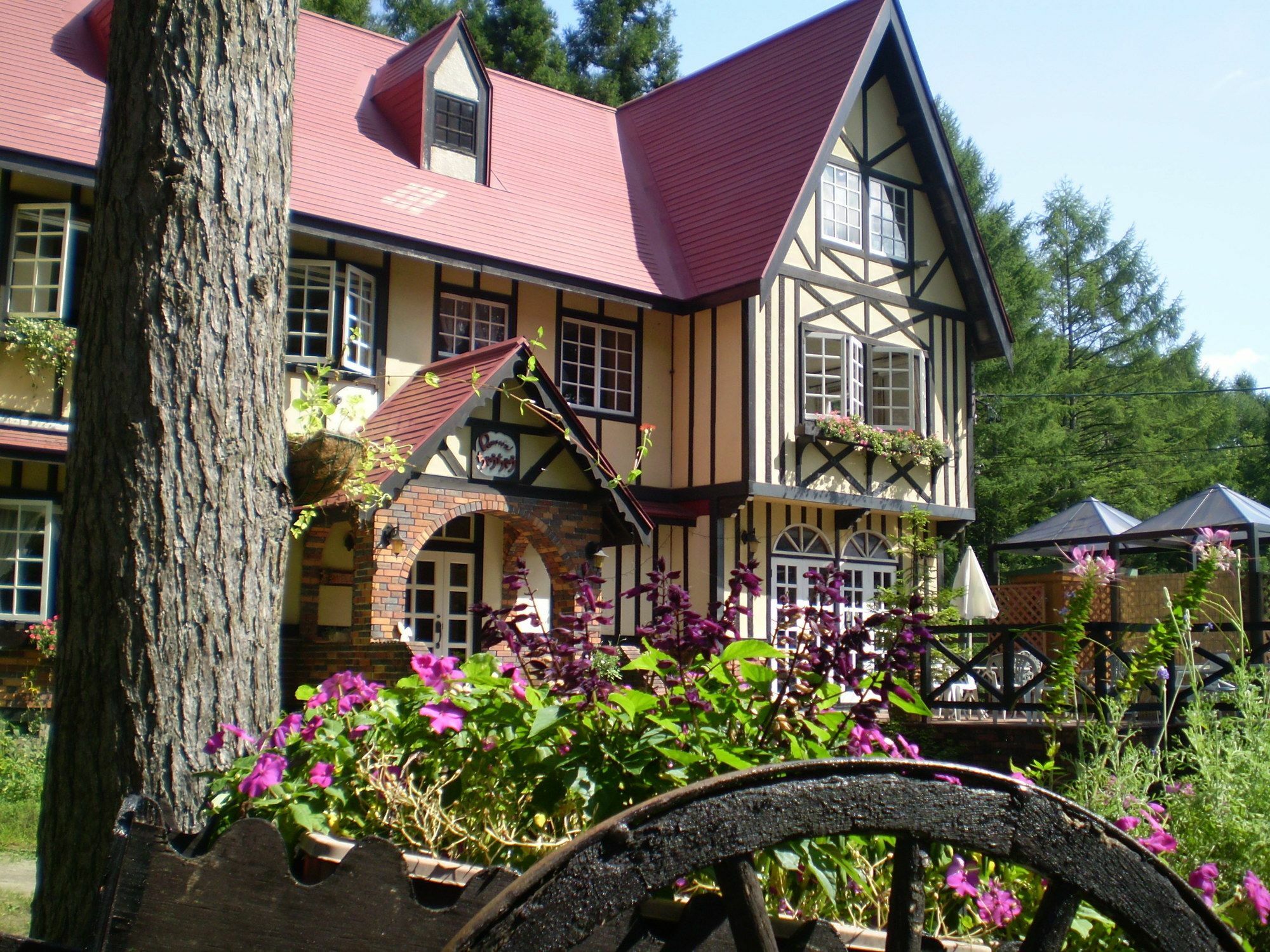 Bed and Breakfast ペンション ちゃうちゃう Hakuba Zewnętrze zdjęcie