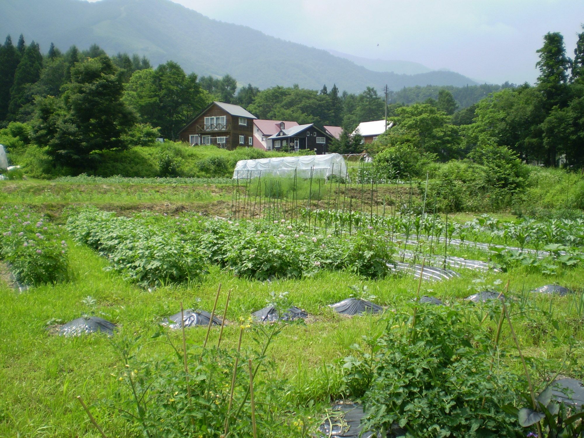 Bed and Breakfast ペンション ちゃうちゃう Hakuba Zewnętrze zdjęcie